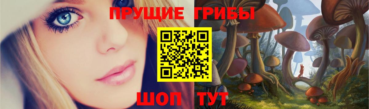 Карпинск  Псилоцибиновые грибы MAGIC MUSHROOMS  Вход с VPN  Псилоцибиновые грибы Magic Shrooms 